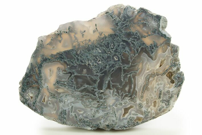 Polished Moss Agate Slab - Oregon #333030
